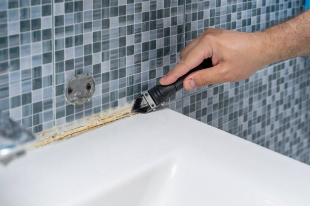 Best Health and Safety Mold Remediation in Maryvle, IL